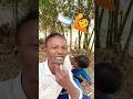 Nutun Fany ভিডিঅ'🤣💞New#funny#video # Short #Comedy #lx 💞♥️