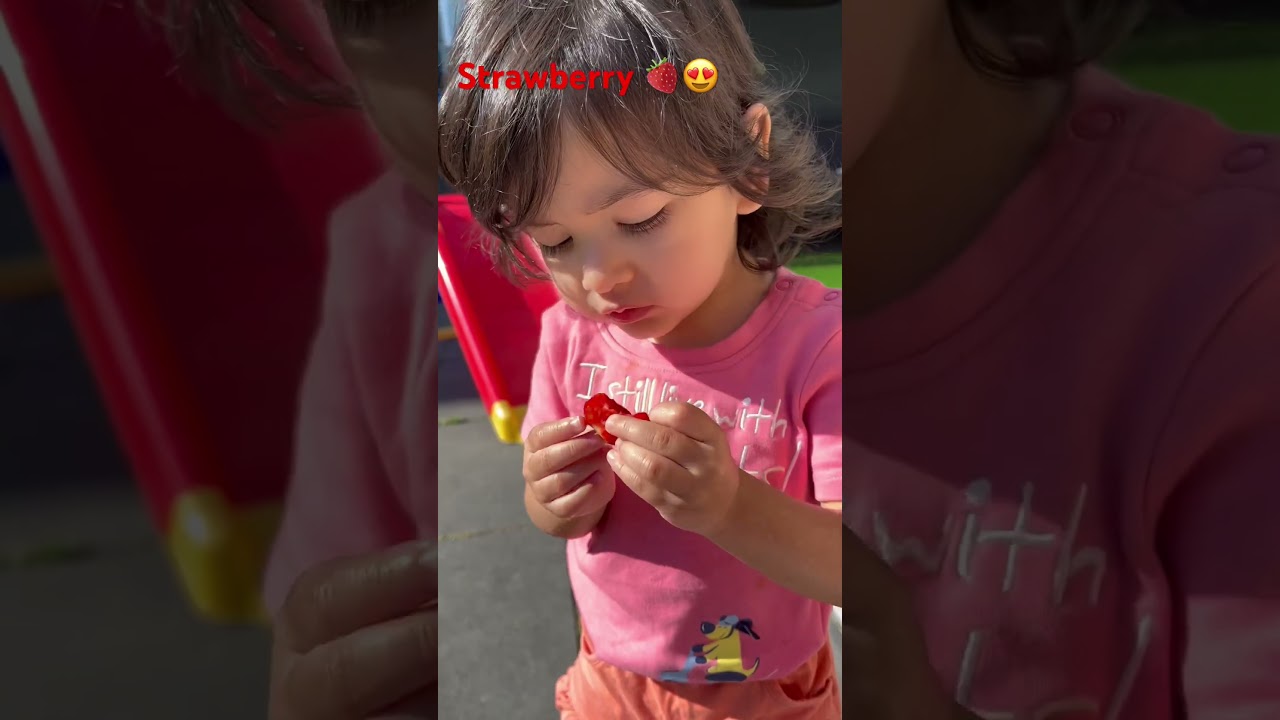 #indianinnetherlands