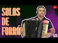 Grandes SOLOS de forró