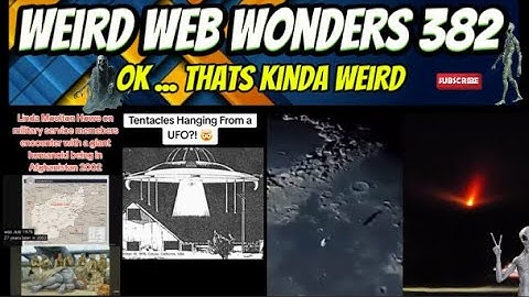 weird web wonders 382