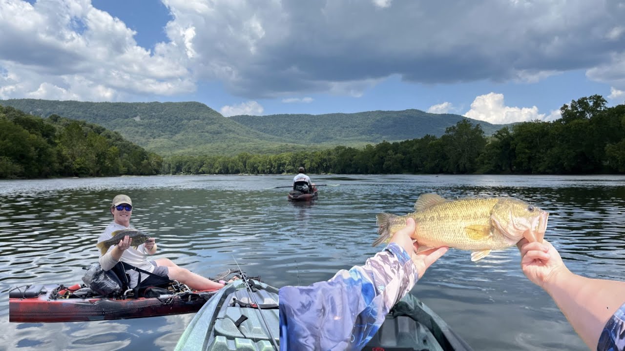 multiple-species-bass-fishing-on-the-shenandoah-river-youtube