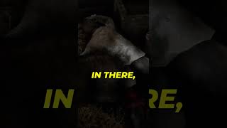 The Creepiest Easter Egg Rockstar Added in RDR2...