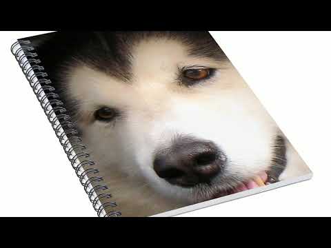 DOGS - on Spiral Notebook covers - Andrea Lazar Photography