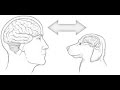 Your dog training sucks and we know why! This is the fastest way to learn how to train your dog Your dog training sucks and we know why! This is the fastest way to learn how to train your dog
