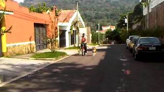 Albert Shible Rocco Y Lucas