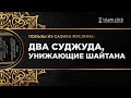 Два суджуда, унижающие шайтана. Пользы из Сахиха Муслима. Абу Яхья Крымский