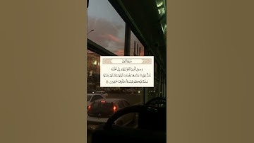 SURAH AZ-ZUMAR | القران الكريم | سورة الزمر
