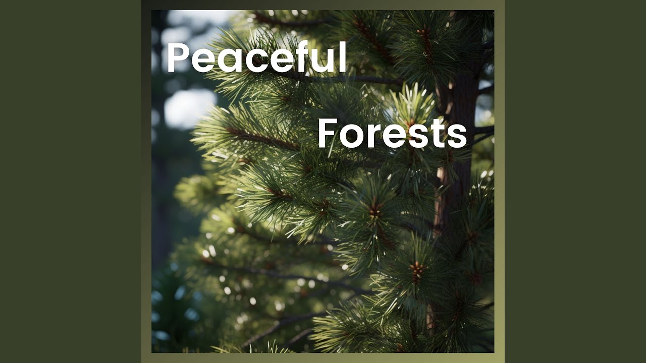 Refreshing Forest Sounds