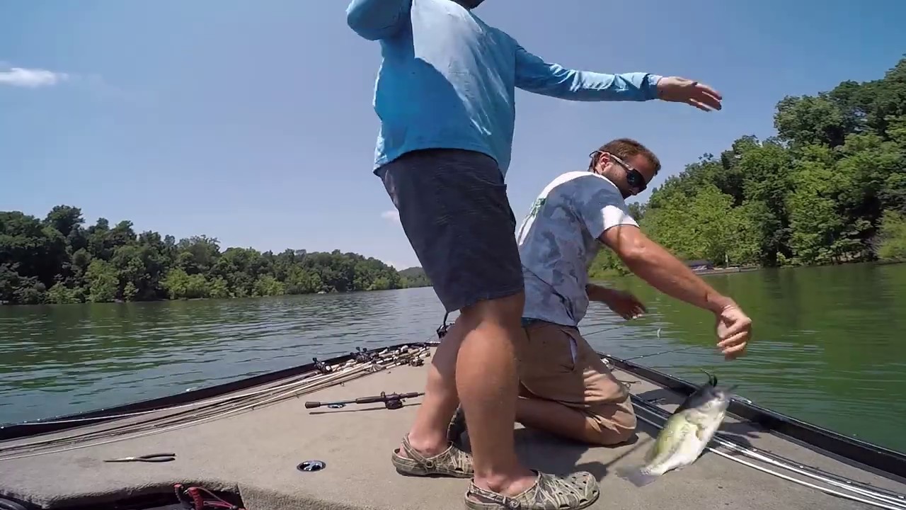 Summer Bass Fishing Rough River Lake - YouTube