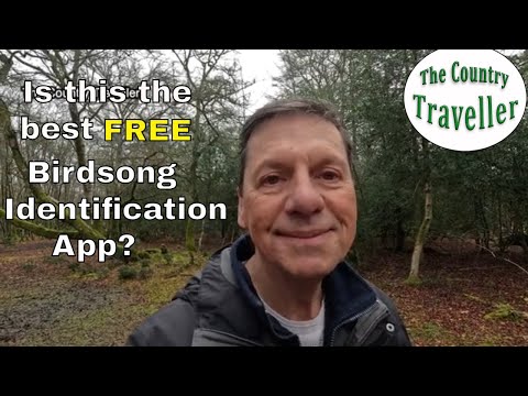 Is this the best FREE birdsong idenfication app? #birdsongs Is this the best FREE birdsong idenfication app? #birdsongs
