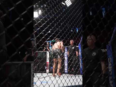 good stoppage? #ufcvegas118