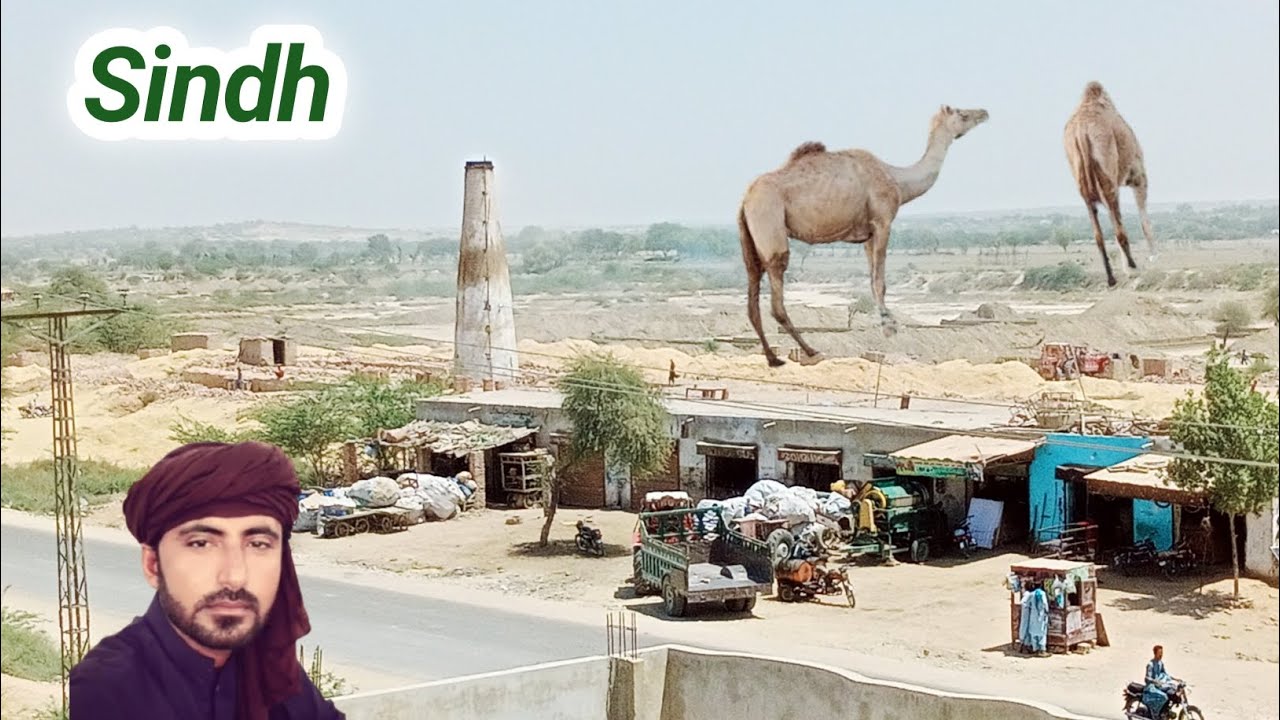 Nomadic life l nomadic culture l rural life l rural village life l Pakistan village life