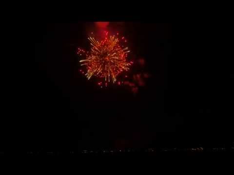 【4K】2014 第32回全国新作花火競技大会 06 村瀬煙火「マリーゴールドの華」