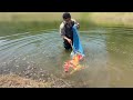 錦鯉が池入れすると