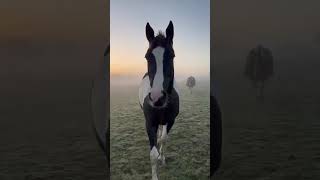 Advert reference - 416616