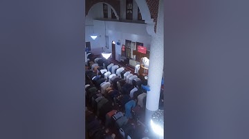 صلاة التراويح بمسجد الإمام أبي حامد الغزالي بصوت القارئ بشيري أحمد - 04 رمضان 1444 -