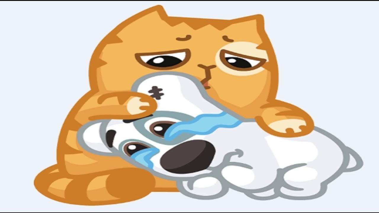 Мем где кот собака Персик и Спотти ) - YouTube