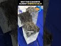 This Concrete Is Stronger Than Steel?!