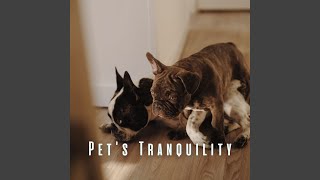 Tranquil Wagging Tails