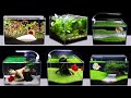 Decryption top 7 amazing diy aquarium decoration ideas for betta  guppy fish not goldfish 125