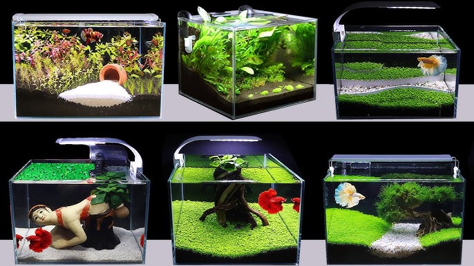 Fish Tank Decoration Ideas (with Artificial Grass) Fish Tank Setup 