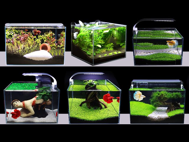 DECRYPTION TOP 7 AMAZING DIY AQUARIUM DECORATION IDEAS FOR BETTA