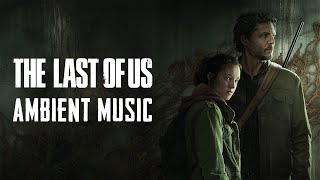 The Last of Us Ambient Music | Fireflies - Relaxing, Uplifting, Studying