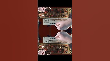 Improvising on the Endorphin.es Shuttle System and Organelle