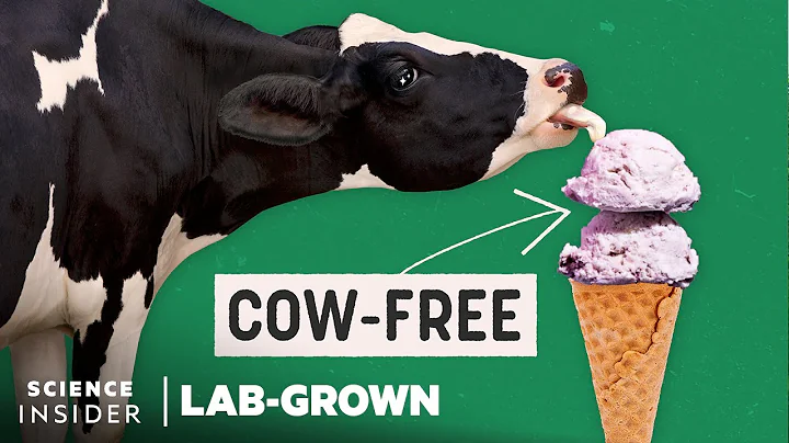 Can Lab-Grown Dairy Give Us A Cow-Free Future? | Lab-Grown | Science Insider - DayDayNews