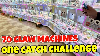 Claw Machine ONE Catch Challenge!!!