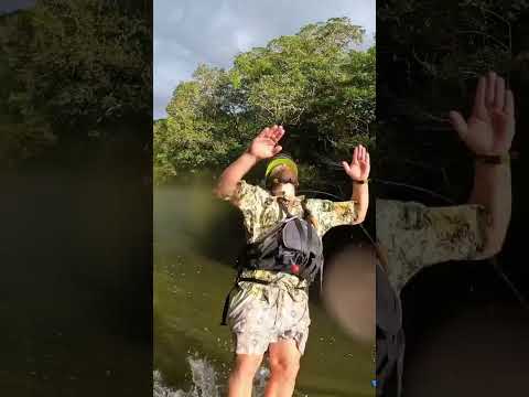 The Best adventure