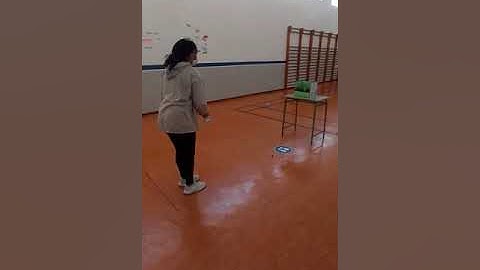 Student playing Frog game
