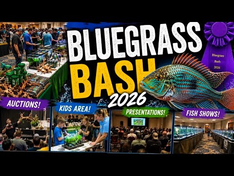 BLUEGRASS BASH - Kentucky Fish Convention vendor room 