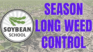 Soybean School: Strategies for season long weed control