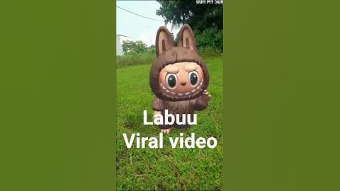 #labubu #labubuviral #viral #viralvideo #viralshort #entertainment #funk #funkopop #remix #funko #