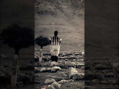 مو غریو ای ولاتوم 