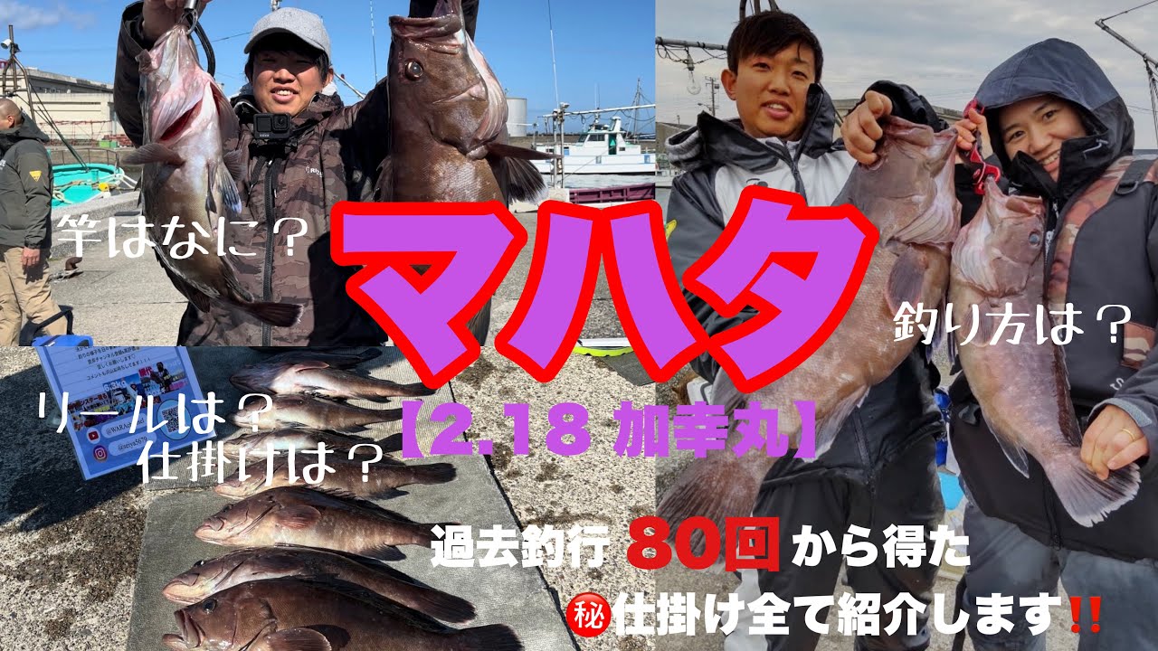 【小林さんが行く！第43話】マハタ釣行回数80回から得た道具、仕掛け、釣り方全てお教えします！#泳がせ釣り#マハタ釣り#船釣り