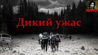 Истории на ночь - Дикий ужас