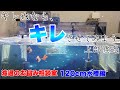 【ろ過のお悩み相談室#4】貴方の水の悩みはなんですか？どうすればいいか私が代わりに考えてみましょう！120cm水槽上部ろ過編！熱帯魚AQUARIUMアクアリウム　濾過
