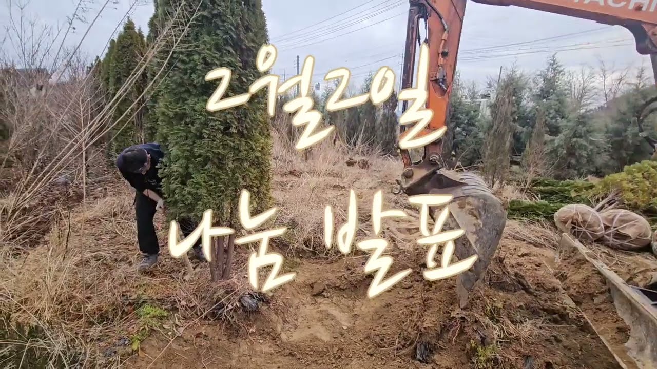 2월2일 나눔 선정 