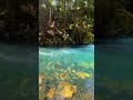 #peaceful #nature #waterfall #relaxingasmr #relaxingmusic #healingsounds
