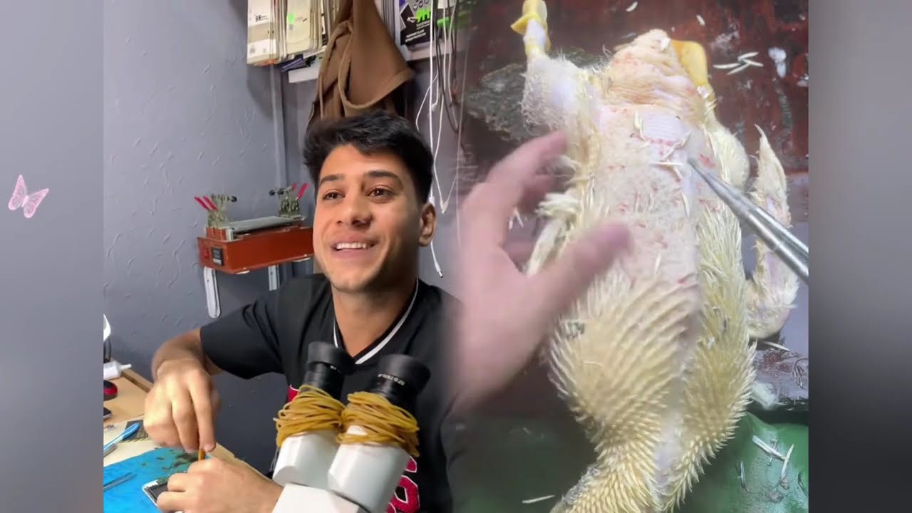 #الطفل الاعمى المعجزه #محضوره_من_الاكسبلور_والمشاهدات #علاوي_مارتن #اكسبلور 15_w