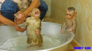 Adorable Monkey Kako Hugging Baby Nina Walk To Bathed Together
