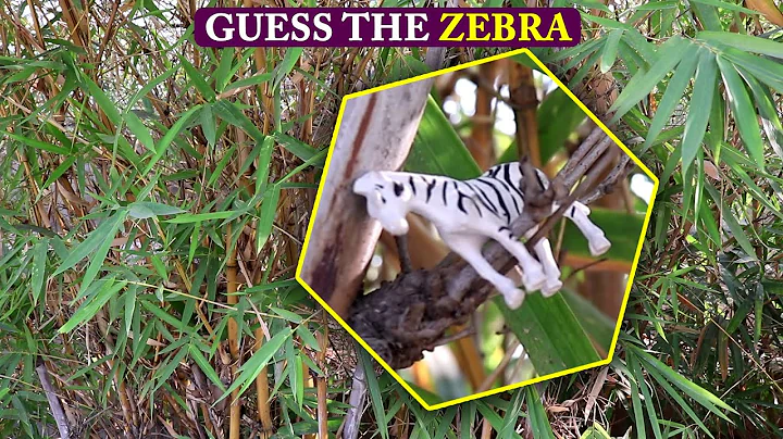 Nobody Can Find All The Hidden Animals Optical Illusions Genius Brain Teasers Most FAIL Guess ZEBRA