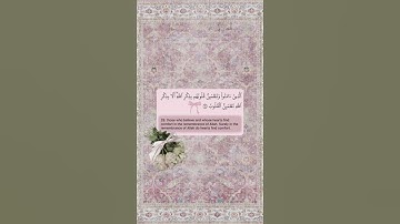 سورة العلق #القران #القران_الكريم #اكسبلور #المصحف #تيك_توك #لايك