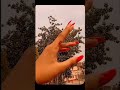 my New nails 😍😍💅#ytshorts #nails #trending #nailsart #luckytanikistory