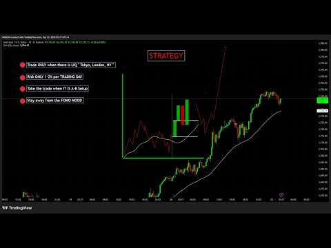 الاستراتيجية الوحيدة الي بتحتاج تتعلمها في بداية رحلتك