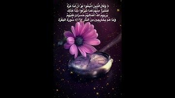#خلفيات #دينية #سورة #البقرة #آية 167