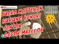 Suara Burung Kenari Jantan Gacor Mbledor Mp3 - Mp4 Download
