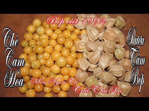 Video Thù lù bao chín vàng ruộm một góc vườn , hái làm trà,... - youtube